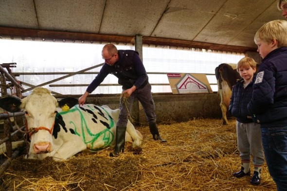 ah-boerderij-1