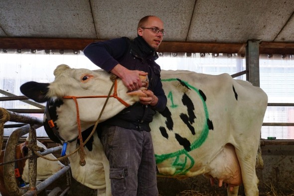 ah-boerderij-2